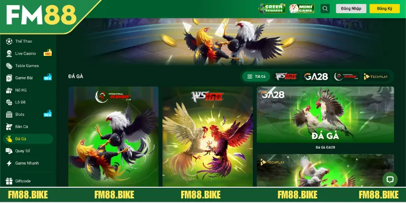Đá Gà FM88: Sảnh Cược Kê Chiến Online Hàng Đầu Châu Á Giới thiệu đôi nét về sảnh cược đá gà FM88 online