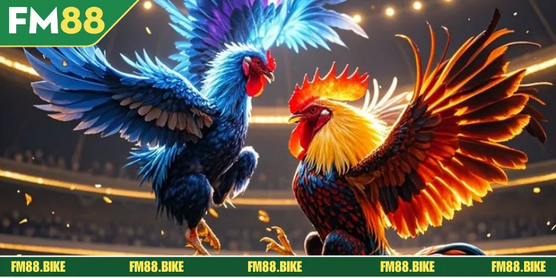 Đá Gà FM88: Sảnh Cược Kê Chiến Online Hàng Đầu Châu Á Giới thiệu một số sảnh cược kê nổi tiếng tại sòng bạc